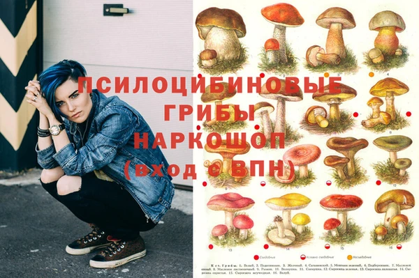 марихуана Абаза